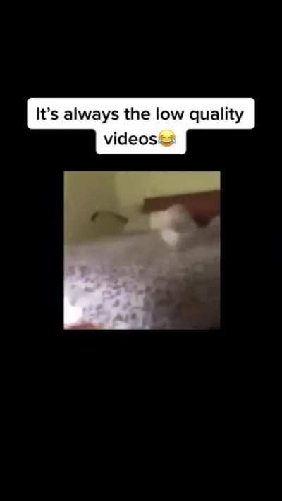 It's always the low quality videos