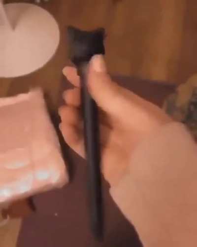 Cat pen