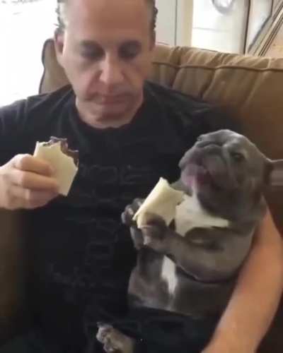 Burrito enjoyment is universal