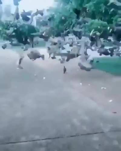 This leap of faith