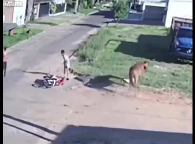 Maybe Maybe Maybe