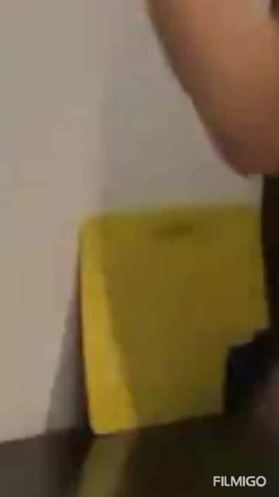 Got another belly zoom in for y&rsquo;all