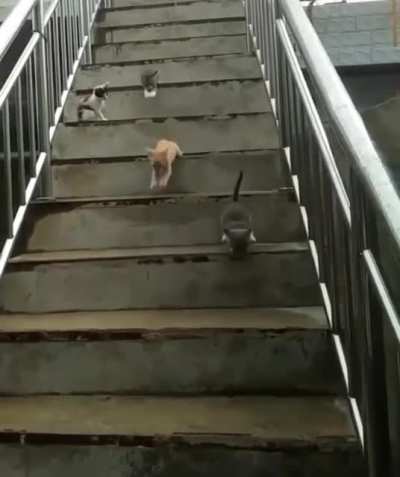 One step at a time bros