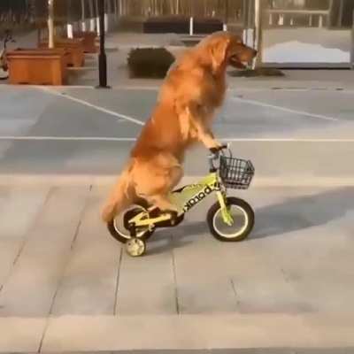 I learnt to ride a bike 🚴&zwj;♀️