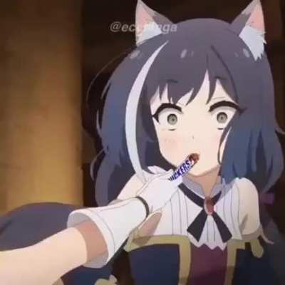 Cad&ecirc; nosso adm mais querido q odeia anime?