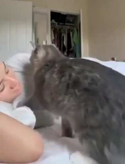Non-forced snuggle.