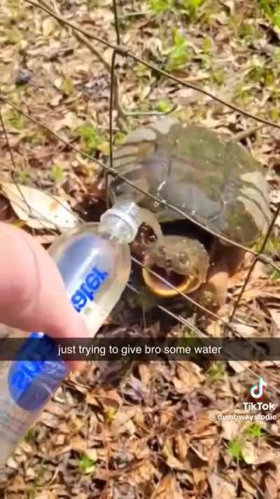some water..