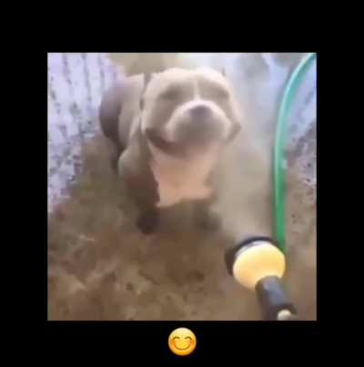 &Oacute;ia que coisa fofa