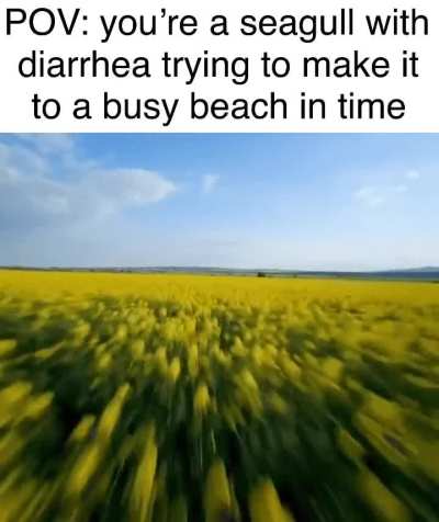 Gotta go fast