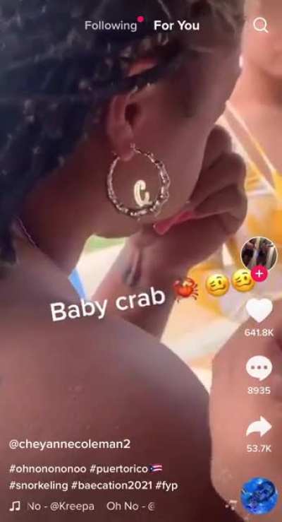 Baby crab
