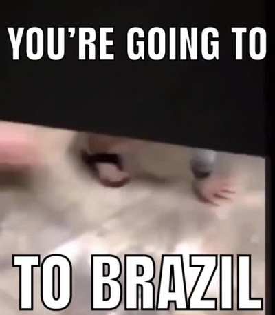 Adoro esses memes de "You're going to Brazil"