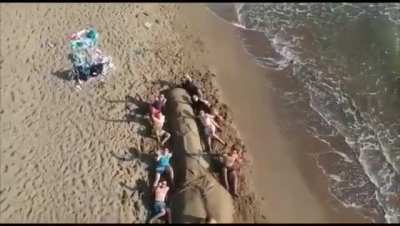 A beautiful day on the beach