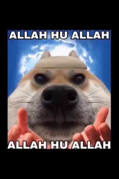 Allah the mighty (144p download link) 👍👍👍👨🏾‍🦲👨🏾‍🦲👨🏾‍🦲