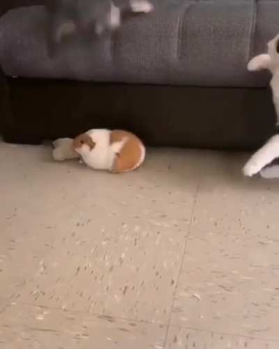 Damn bro, calm down
