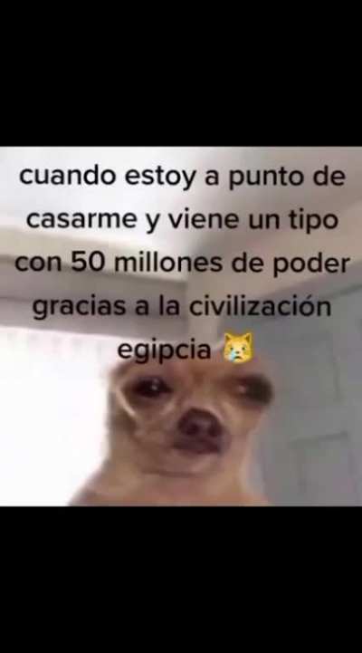 sad dog singing