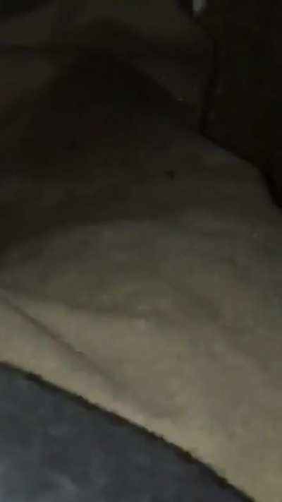 Ya spilt beer on ya shoes mate!