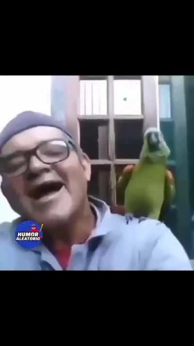 paraguaio