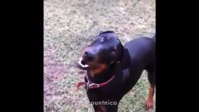 01110100 01101000 01101001 01110011 00100000 01101001 01110011 00100000 01100101 01110000 01101001 01100011