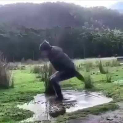 T&iacute;tulo est&aacute; a assustir jojo depois desse meme