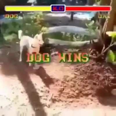 Someone needs a nerf