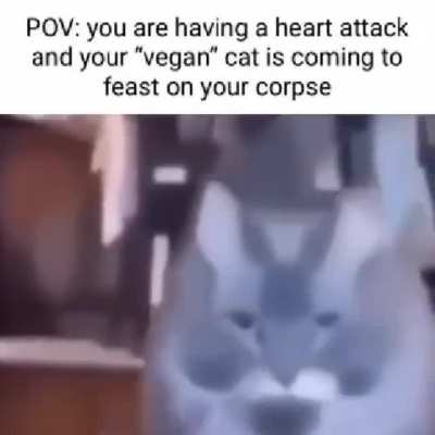 feast