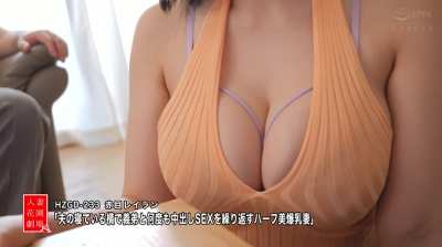HZGD-233