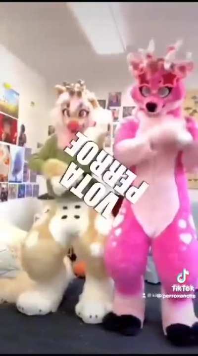 ¿🐕?