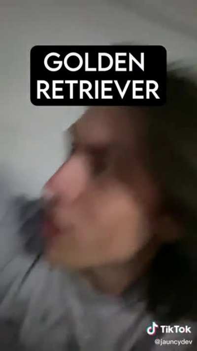 How dog breeds react to robbers