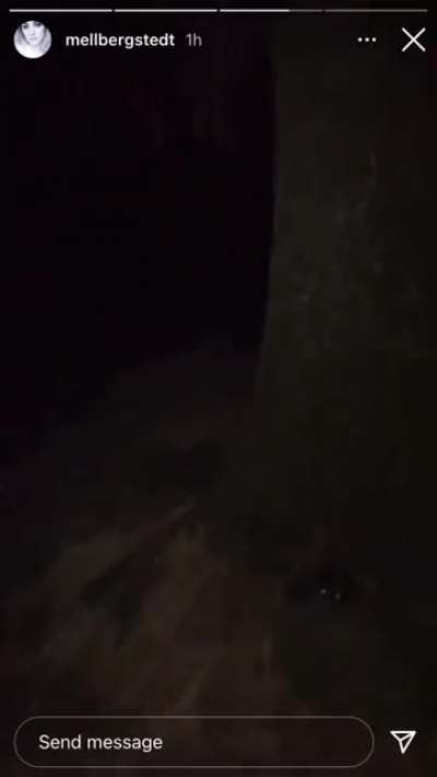 What the hell is this thing?