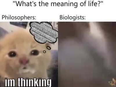 What about you?
