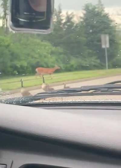 And they say small towns don&rsquo;t have traffic&hellip;