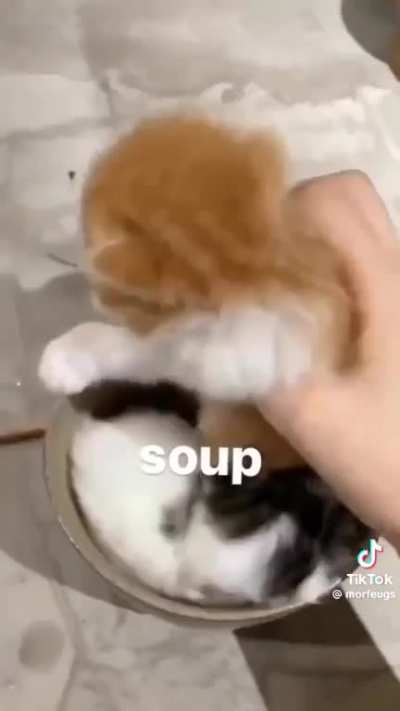 Soup Wunkus 