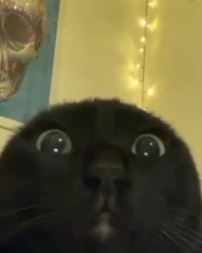 Medo 0_o