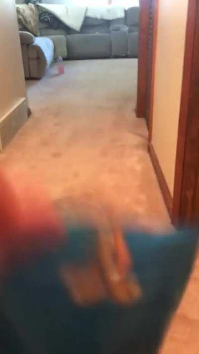 To catch a chonker