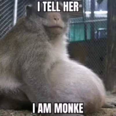 Return to monke