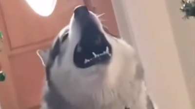I think about this video at least once a day