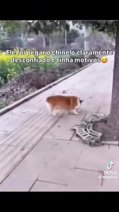 😭😭