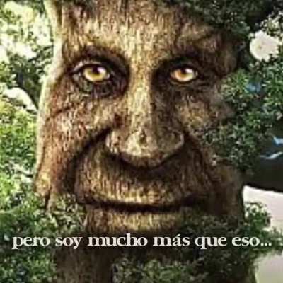 Durisimo hermano