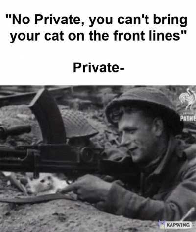 Private supported
