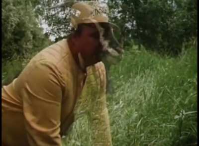 Goat transforming into person