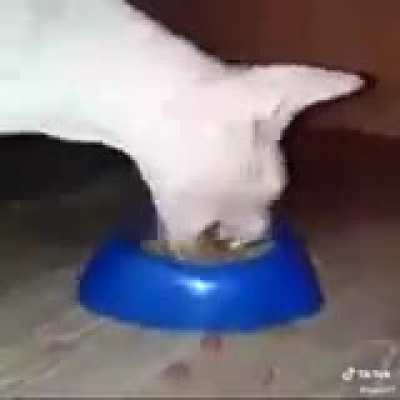 Eating scrumptious