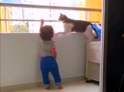 This cat is a better parent than some parents
