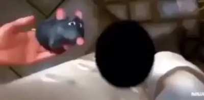 Ayooooo