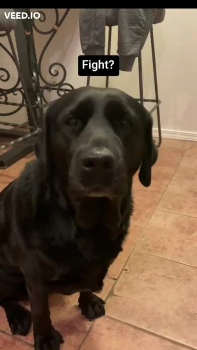 Disappointed ears