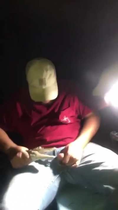 WCGW while putting your genitals into crocodile mouth