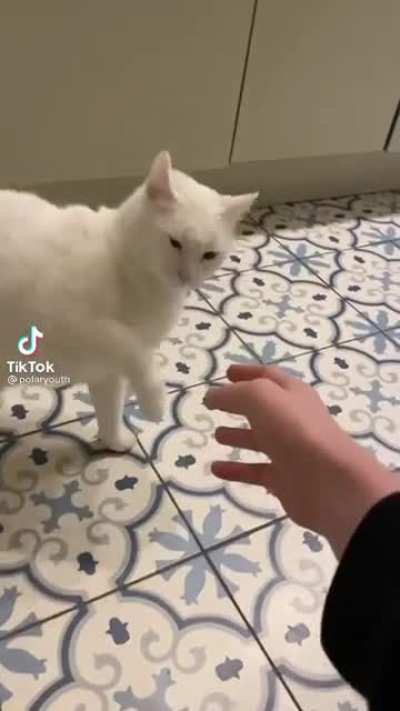 The ultimate betrayal