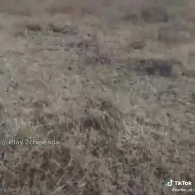 SquarePosting - Video #4678