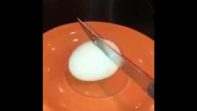 Egg