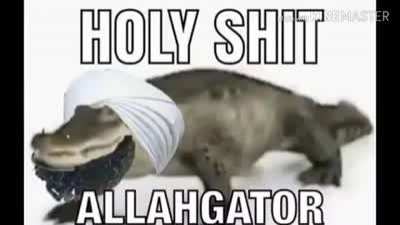 Halal gator 😌😌😌🙏🙏🙏