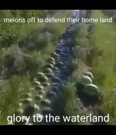 Rule